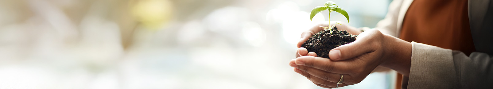 Sustainability and Social Responsibility