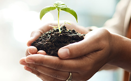 Sustainability and Social Responsibility