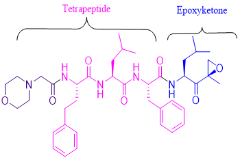Substantially Pure Carfilzomib Amorphous for Generic Launch